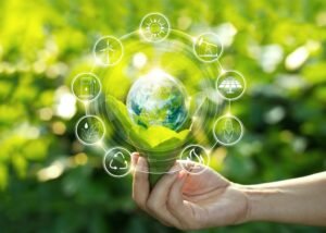 Why Sustainability Is So Important for the Global Economy